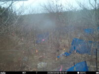 Mar 3 2026 13:13:47, #01