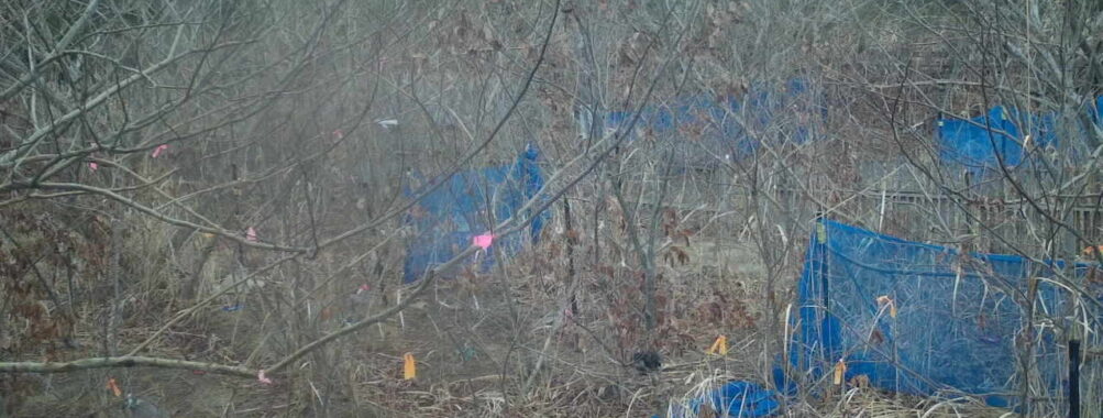 Mar 3 2026 16:13:48, #01