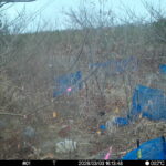 Mar 3 2026 16:13:48, #01