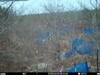 Mar 3 2026 16:13:48, #01