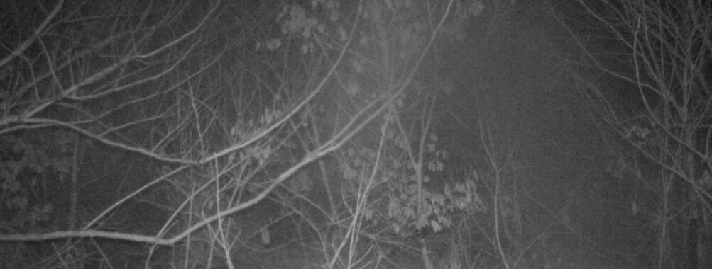 Mar 3 2026 19:13:47, #01