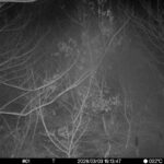 Mar 3 2026 19:13:47, #01