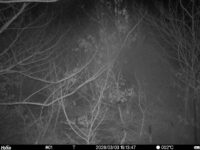 Mar 3 2026 19:13:47, #01