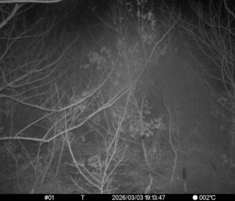 Mar 3 2026 19:13:47, #01