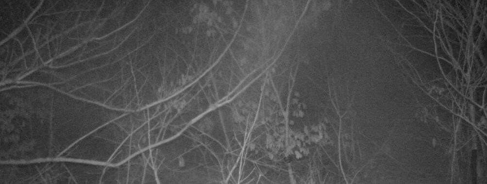 Mar 3 2026 22:13:47, #01