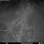 Mar 3 2026 22:13:47, #01