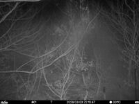 Mar 3 2026 22:13:47, #01