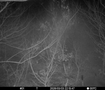 Mar 3 2026 22:13:47, #01