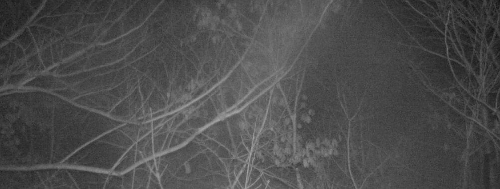 Mar 4 2026  1:13:47, #01