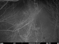 Mar 4 2026  1:13:47, #01