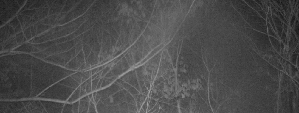 Mar 4 2026  4:13:47, #01