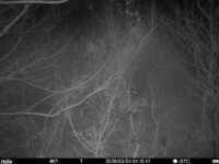 Mar 4 2026  4:13:47, #01