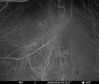 Mar 4 2026  4:13:47, #01