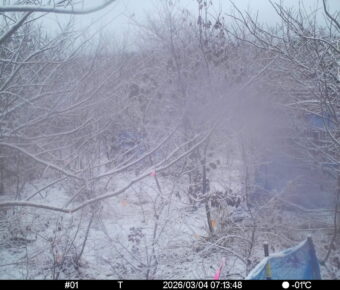 Mar 4 2026  7:13:48, #01