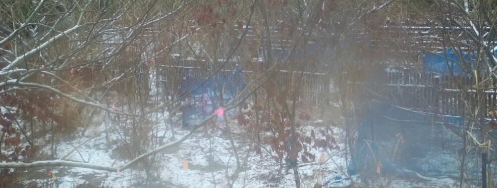 Mar 4 2026 10:13:48, #01