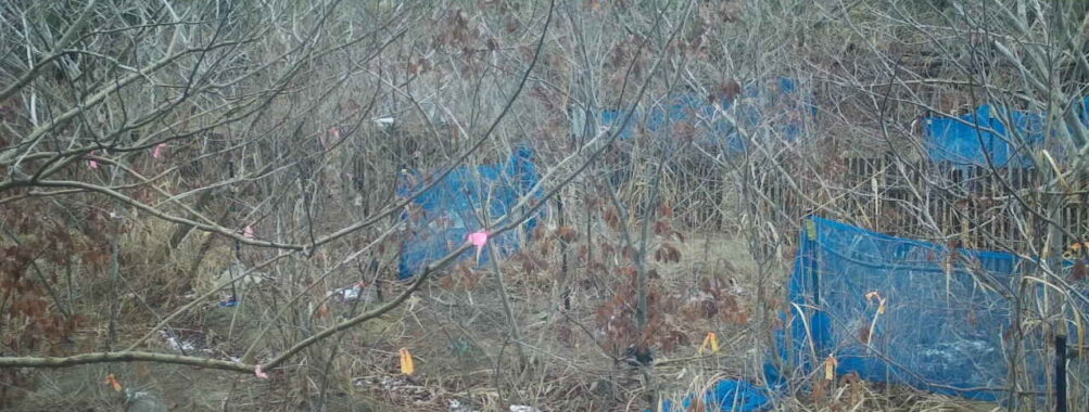 Mar 4 2026 13:13:48, #01