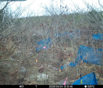 Mar 4 2026 13:13:48, #01