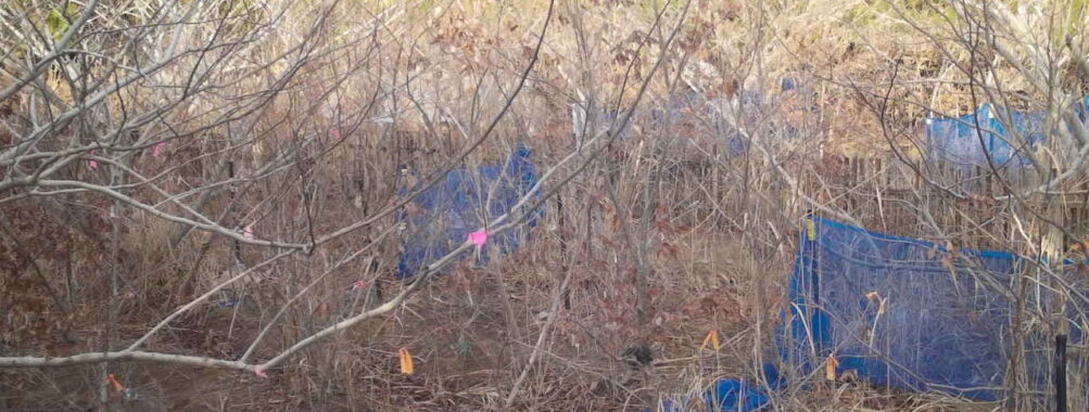 Mar 4 2026 16:13:48, #01