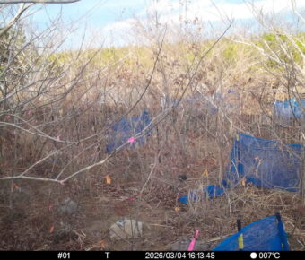 Mar 4 2026 16:13:48, #01