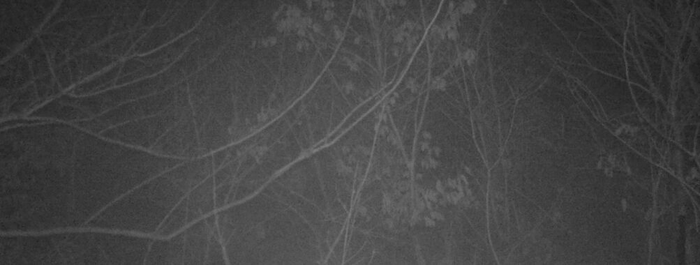 Mar 4 2026 19:13:47, #01