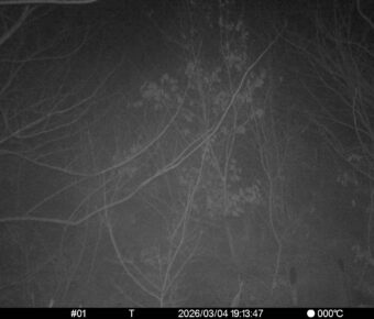 Mar 4 2026 19:13:47, #01