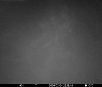 Mar 4 2026 22:13:48, #01