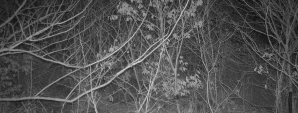 Mar 5 2026  1:13:47, #01