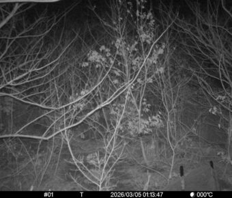 Mar 5 2026  1:13:47, #01