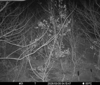 Mar 5 2026  4:13:47, #01