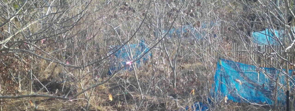 Mar 5 2026  7:13:48, #01