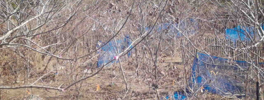 Mar 5 2026 10:13:47, #01