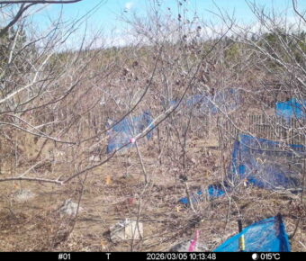 Mar 5 2026 10:13:47, #01