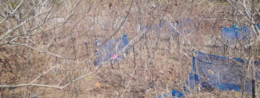 Mar 5 2026 13:13:47, #01