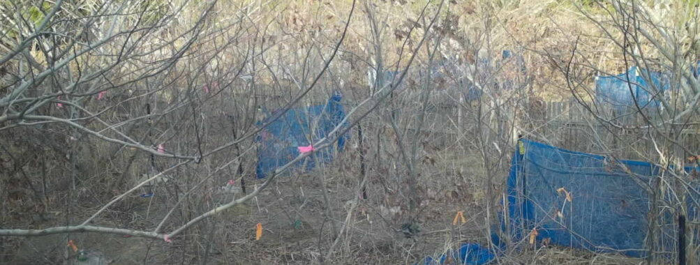 Mar 5 2026 16:13:48, #01