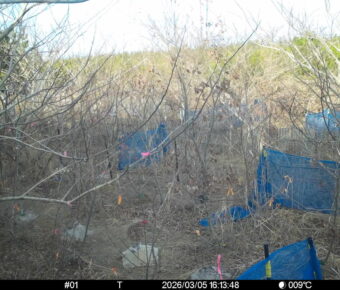 Mar 5 2026 16:13:48, #01