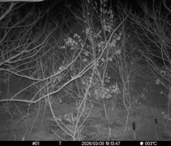 Mar 5 2026 19:13:47, #01