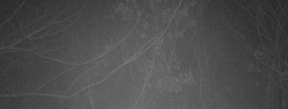 Mar 6 2026  1:13:47, #01