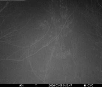 Mar 6 2026  1:13:47, #01