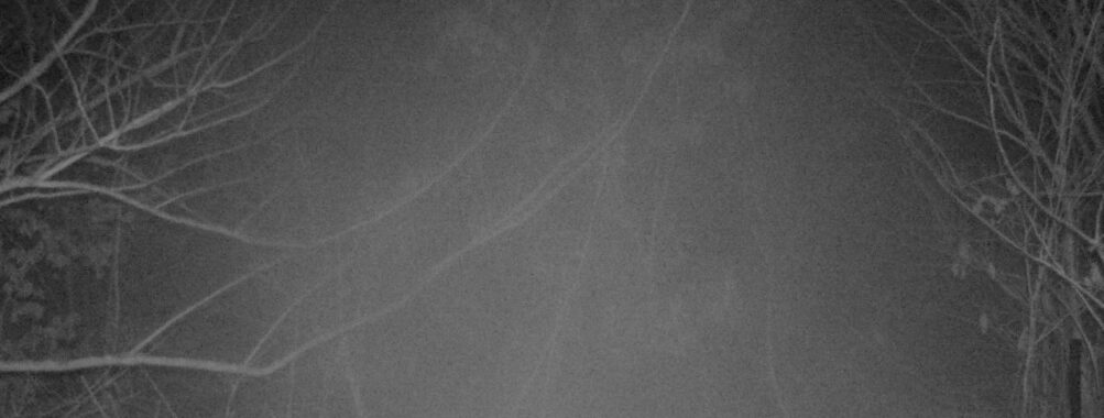 Mar 6 2026  4:13:47, #01