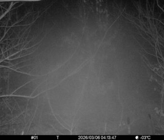 Mar 6 2026  4:13:47, #01