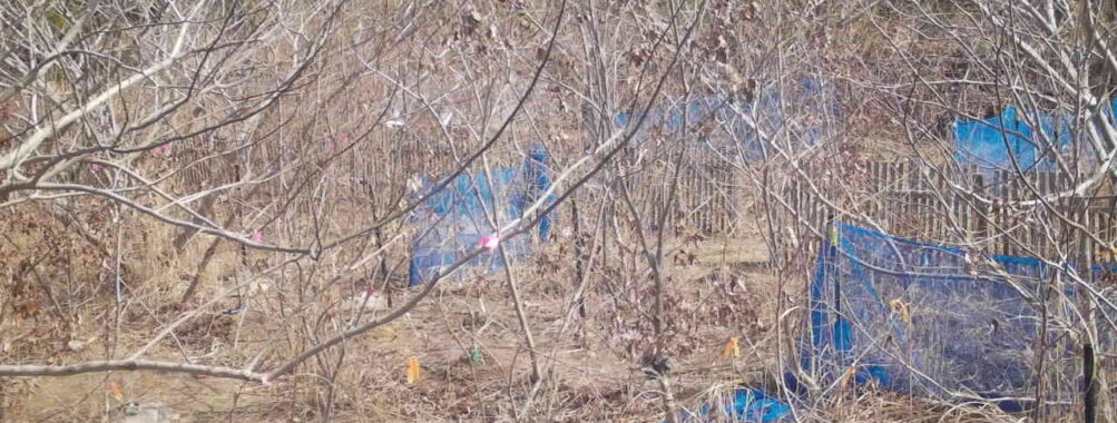 Mar 6 2026 10:13:48, #01