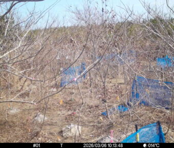 Mar 6 2026 10:13:48, #01