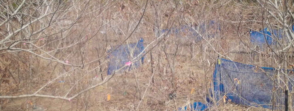 Mar 6 2026 13:13:48, #01