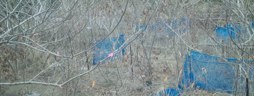 Mar 6 2026 16:13:48, #01