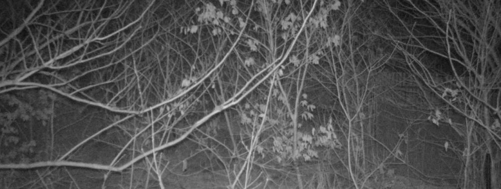 Mar 6 2026 19:13:47, #01