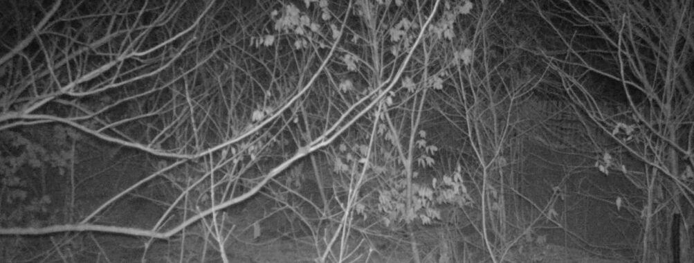 Mar 7 2026  1:13:47, #01