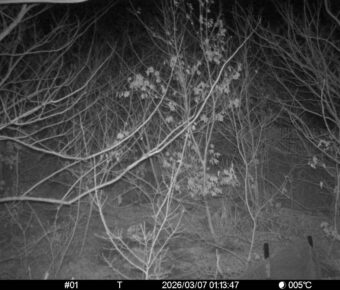 Mar 7 2026  1:13:47, #01