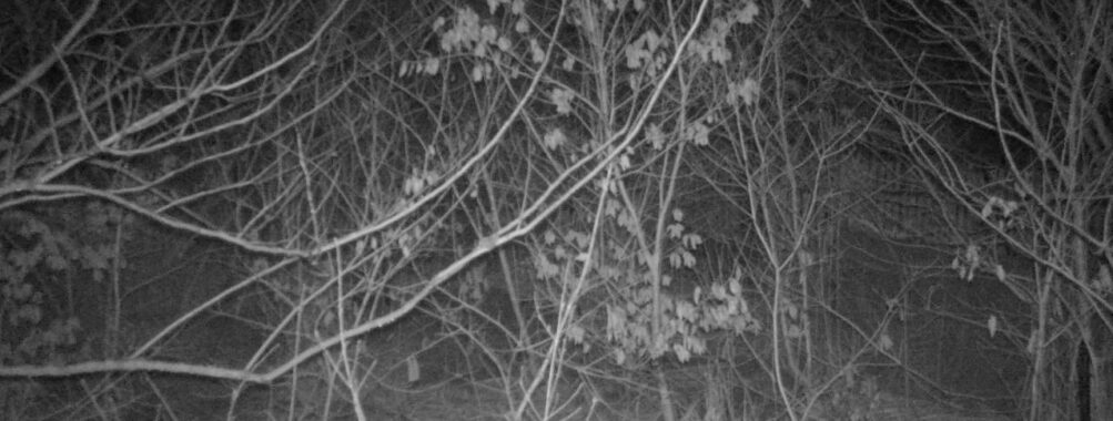 Mar 7 2026  4:13:48, #01