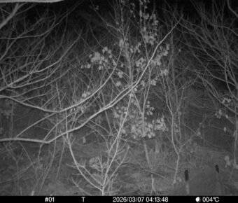 Mar 7 2026  4:13:48, #01