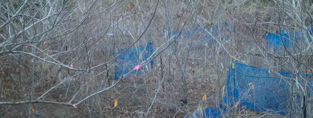 Mar 7 2026  7:13:48, #01